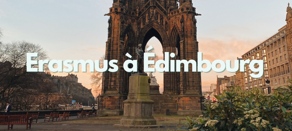 Erasmus